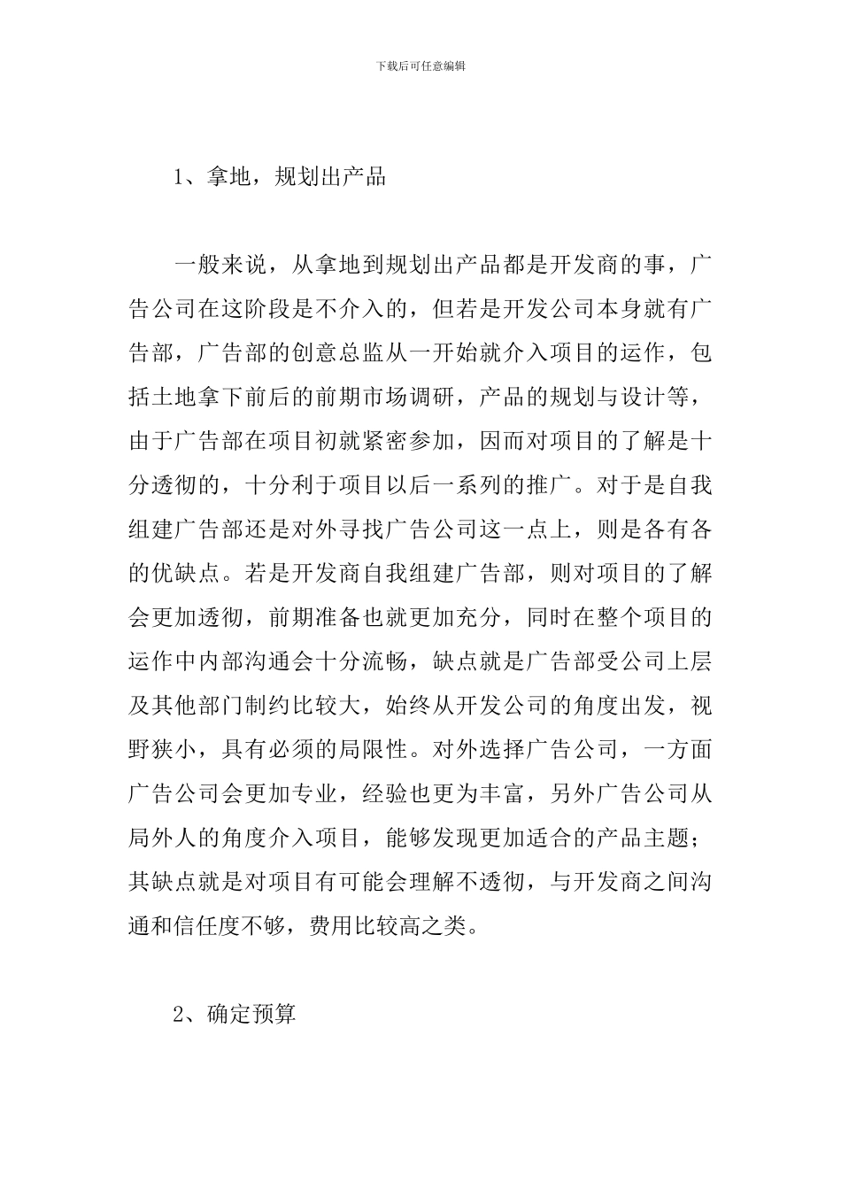 广告活动策划书_第2页