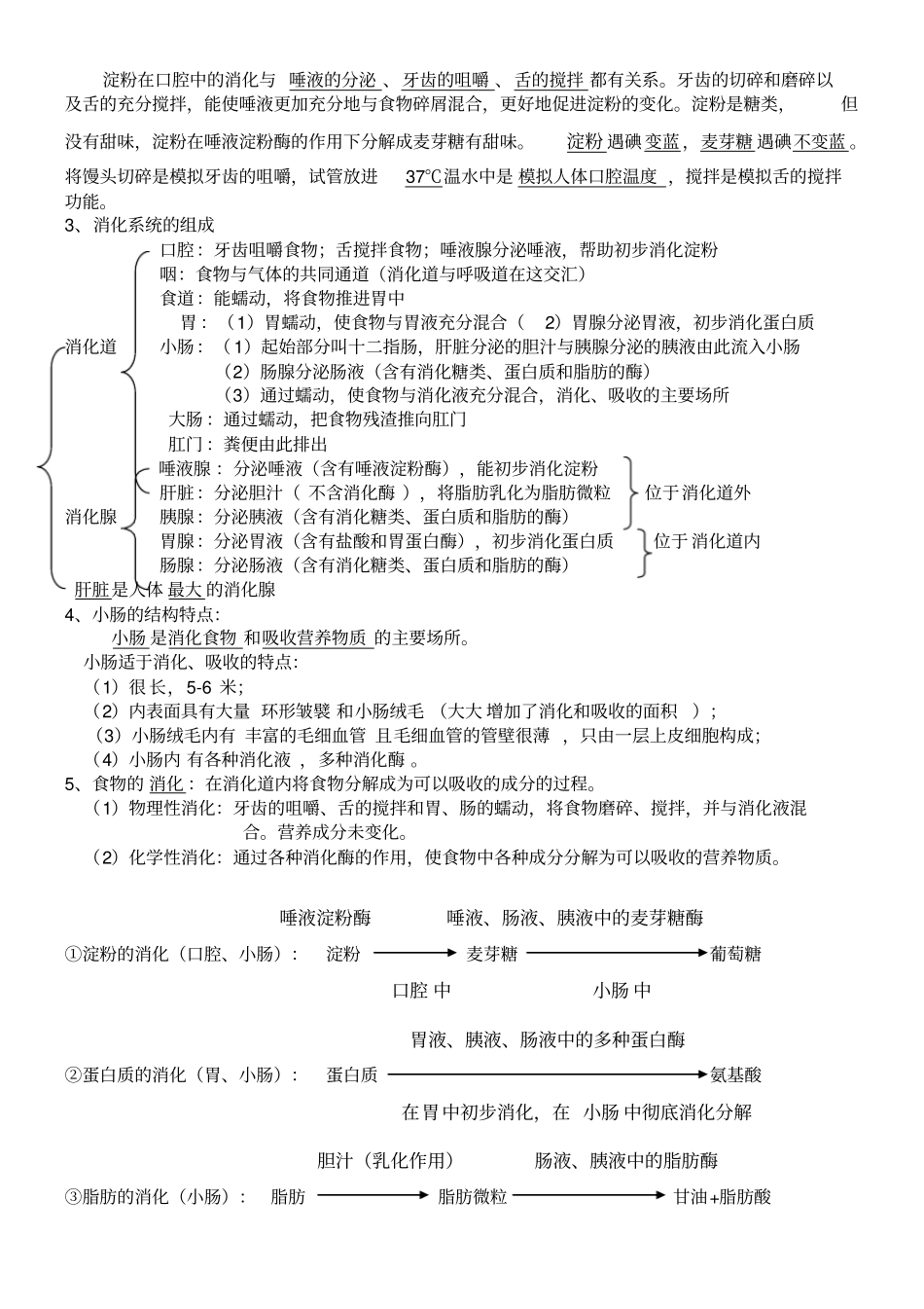 七年级下册生物学知识点汇总_第3页