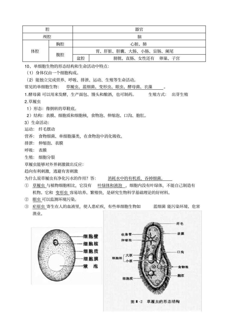 七年级下册苏科新版生物复习提纲_第3页