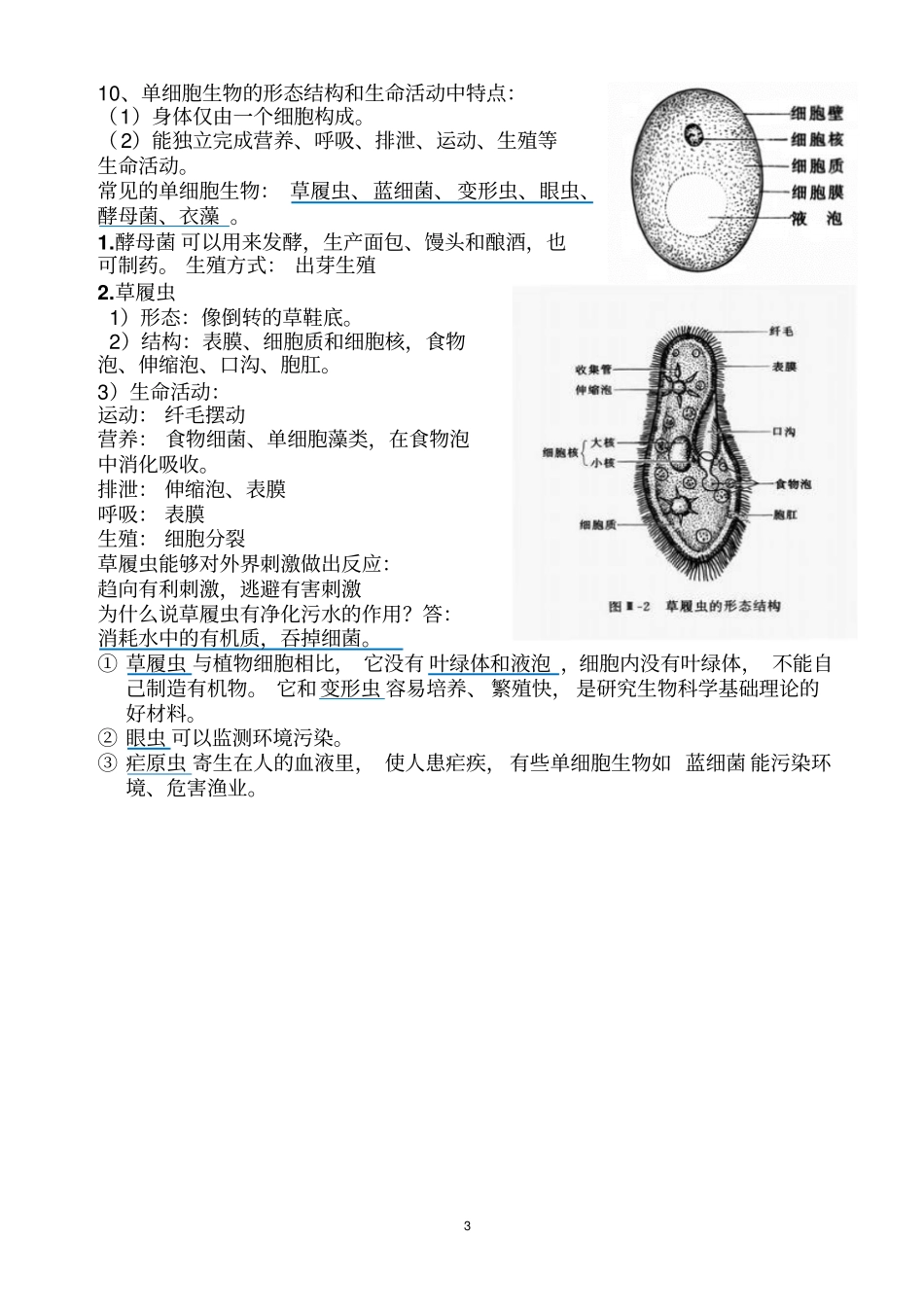 七年级下册苏科新版生物复习提纲2017A4打印汇总_第3页