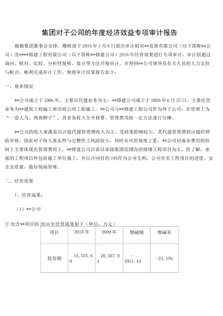 集团对子公司的经济效益专项审计报告