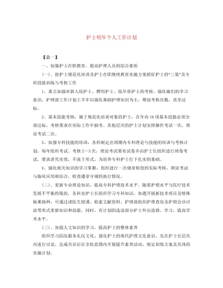 护士明年个人工作计划
