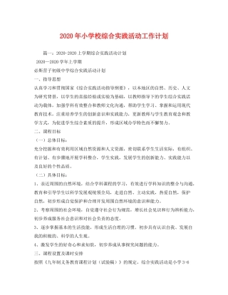 2020年小学校综合实践活动工作计划