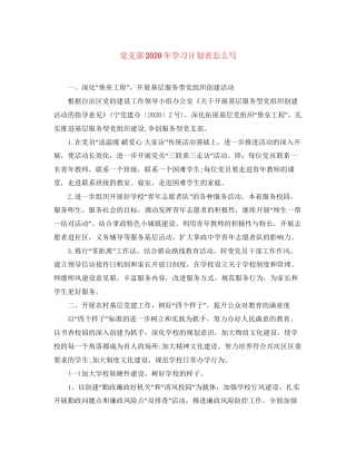 党支部年学习计划表怎么写