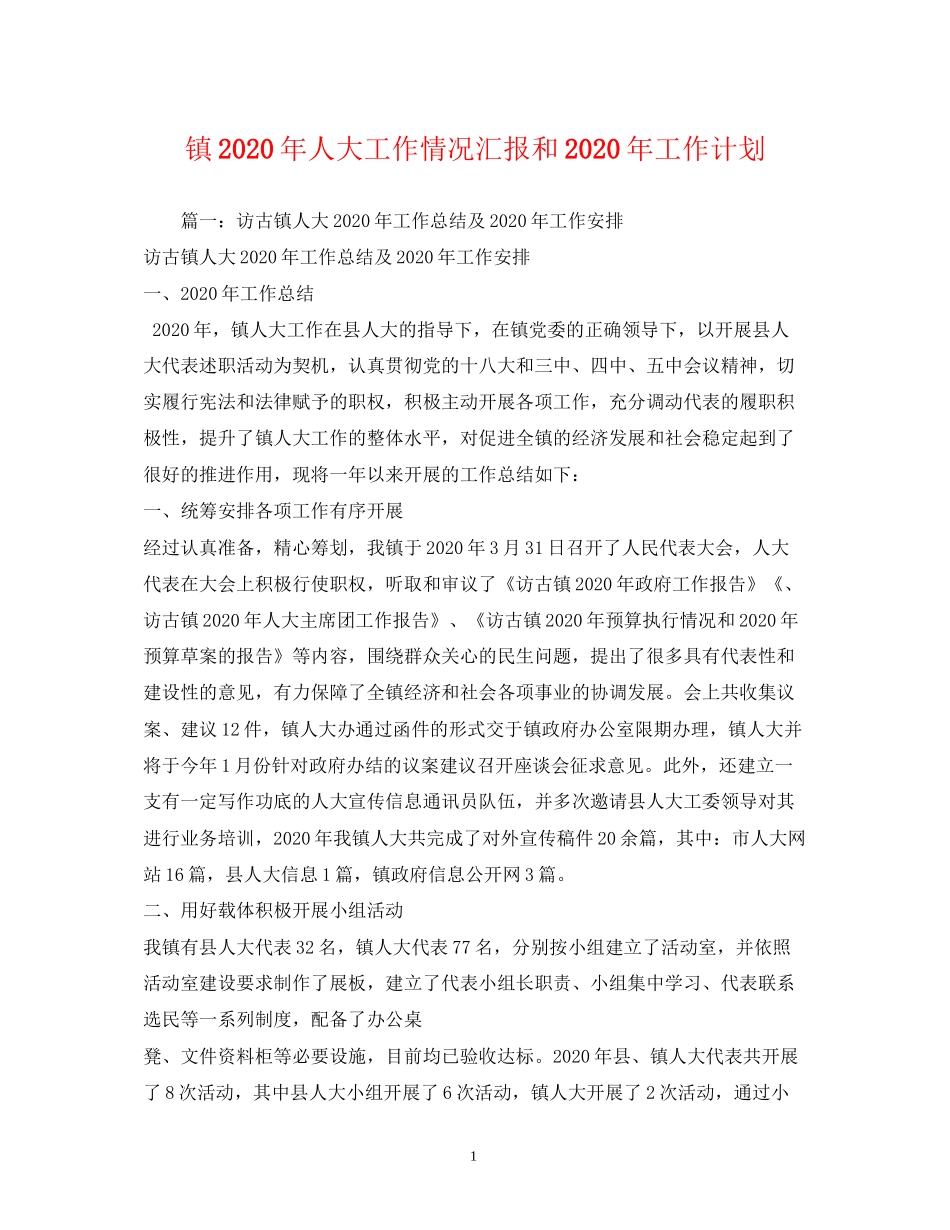 镇年人大工作情况汇报和年工作计划_第1页