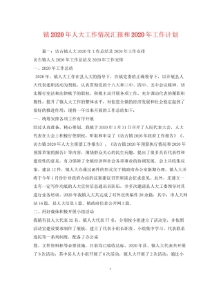 镇年人大工作情况汇报和年工作计划