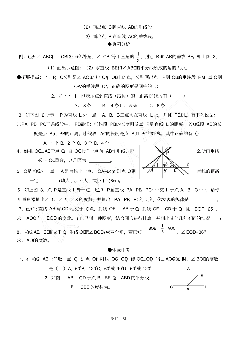 七年级数学下册垂线练习题_第3页