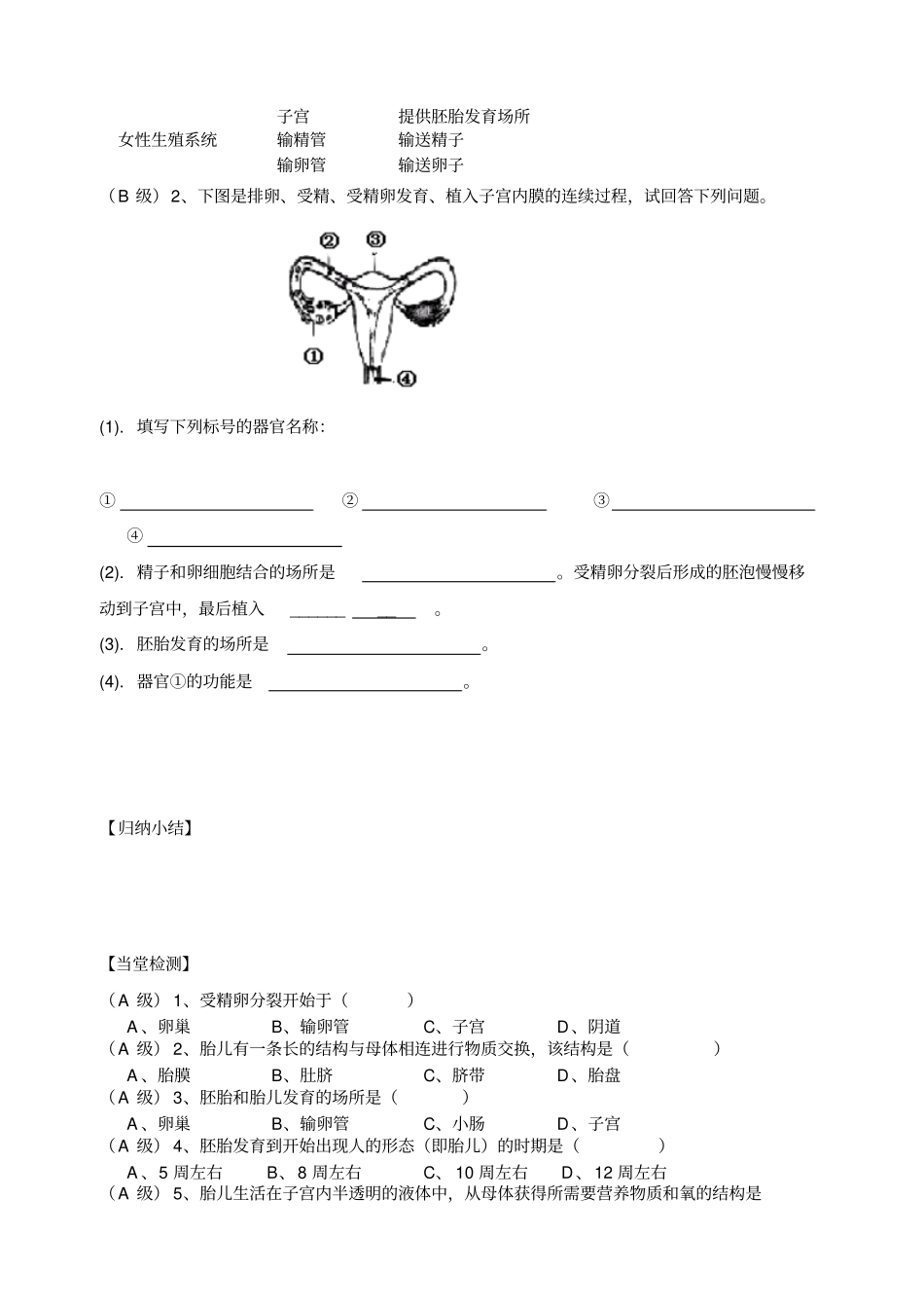 七年级生物2人的生殖导学案_第3页