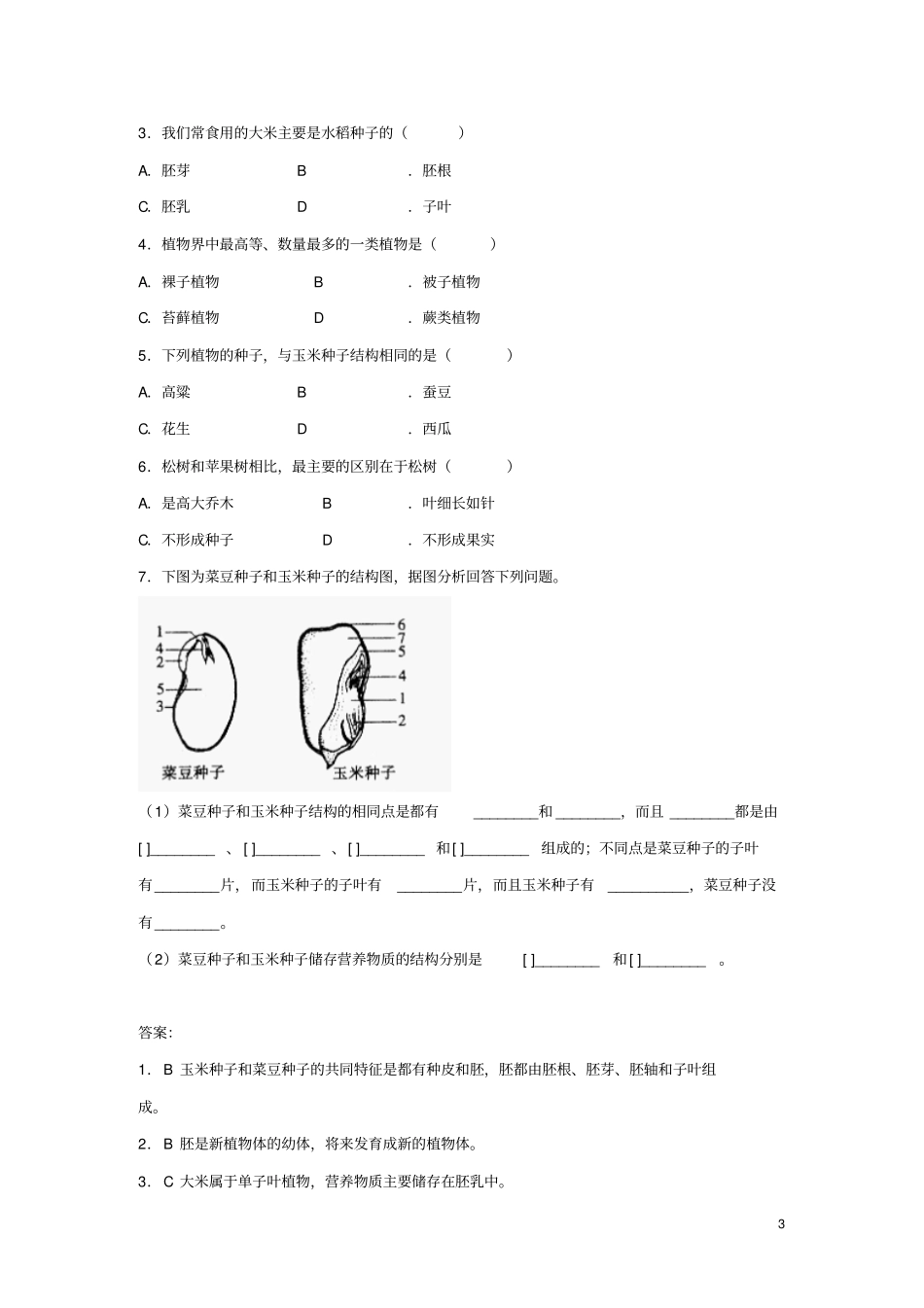 七年级生物上册2种子植物练习新版新人教版_第3页