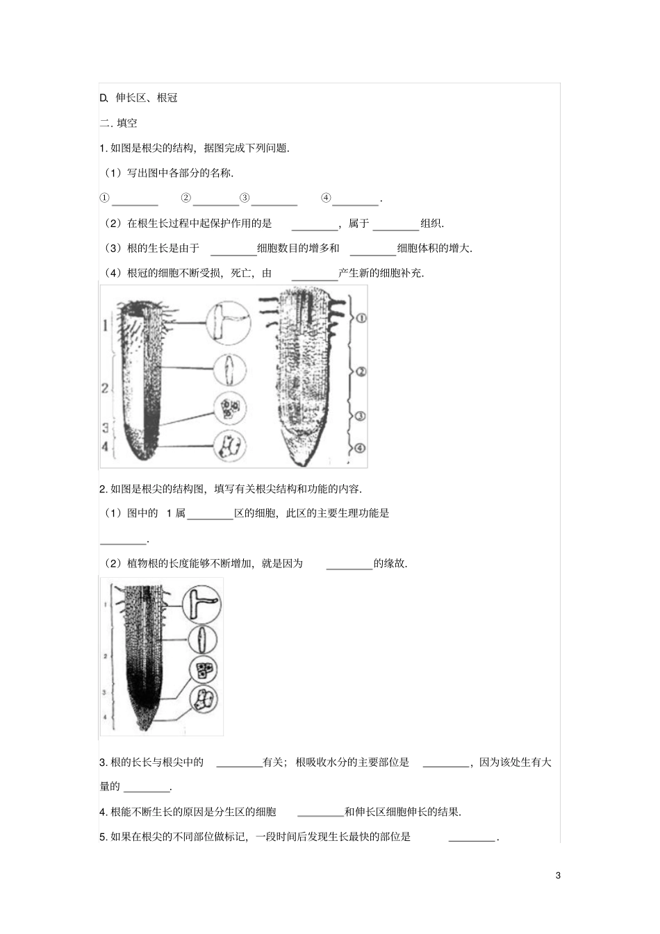 七年级生物上册2植株的生长练习题无答案新版新人教版_第3页