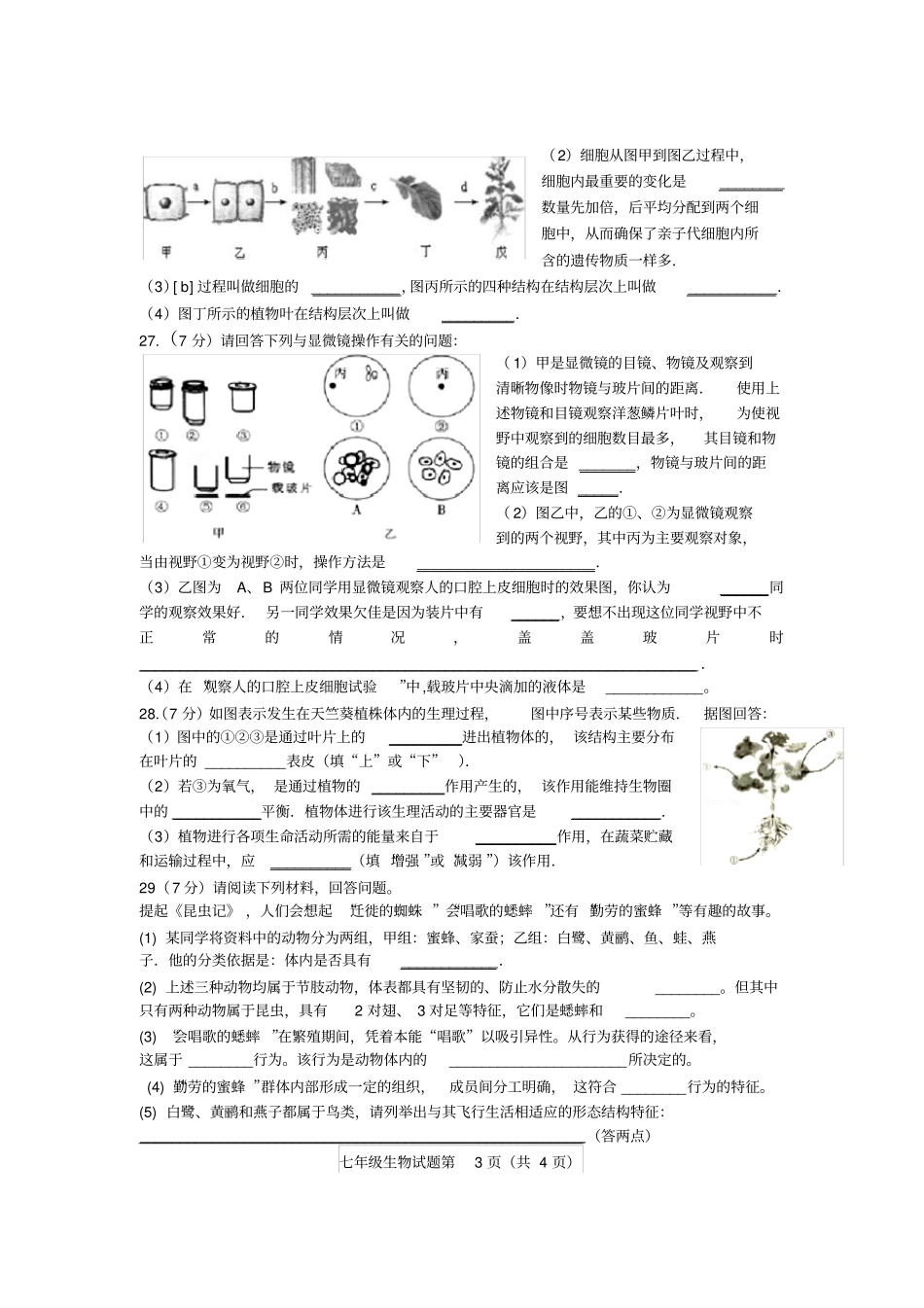 七年级生物上册期末试题济南版_第3页