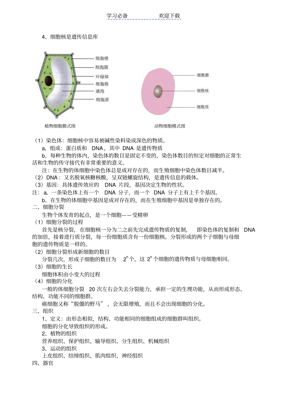 七年级生物上册复习资料_第3页