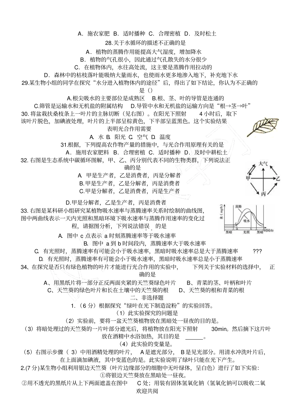 七年级生物上册植物三大作用练习题_第3页