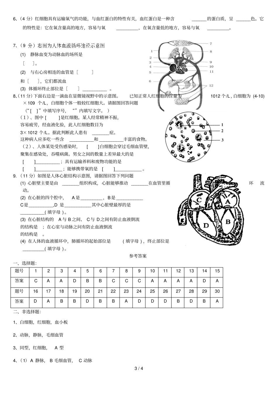七年级生物下人教版试卷人体内物质的运输练习题51923_第3页