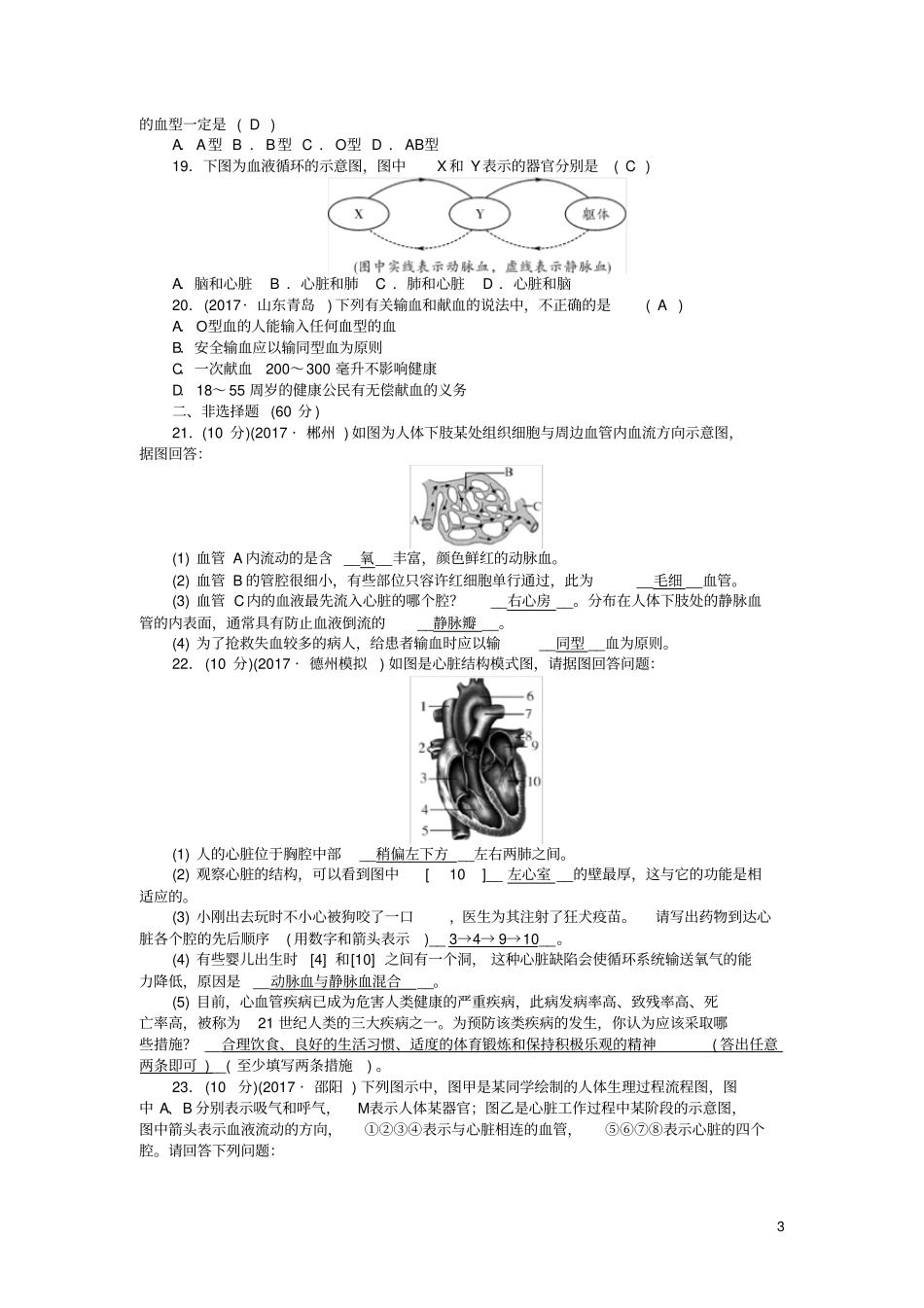 七年级生物下册人体内物质的运输测试题新人教版_第3页