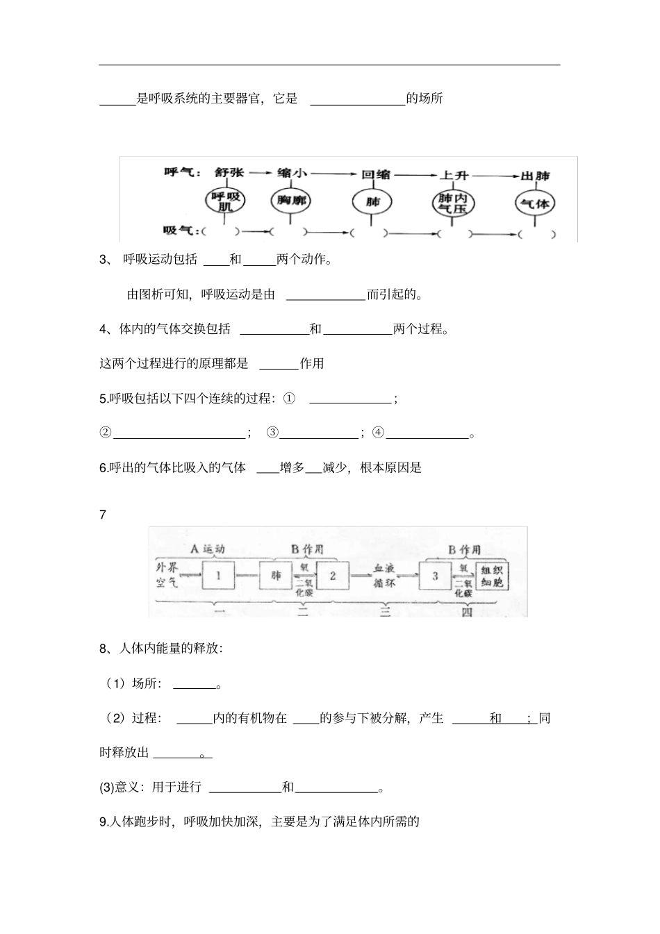 七年级生物下册：基础必背知识点归纳总结_第3页