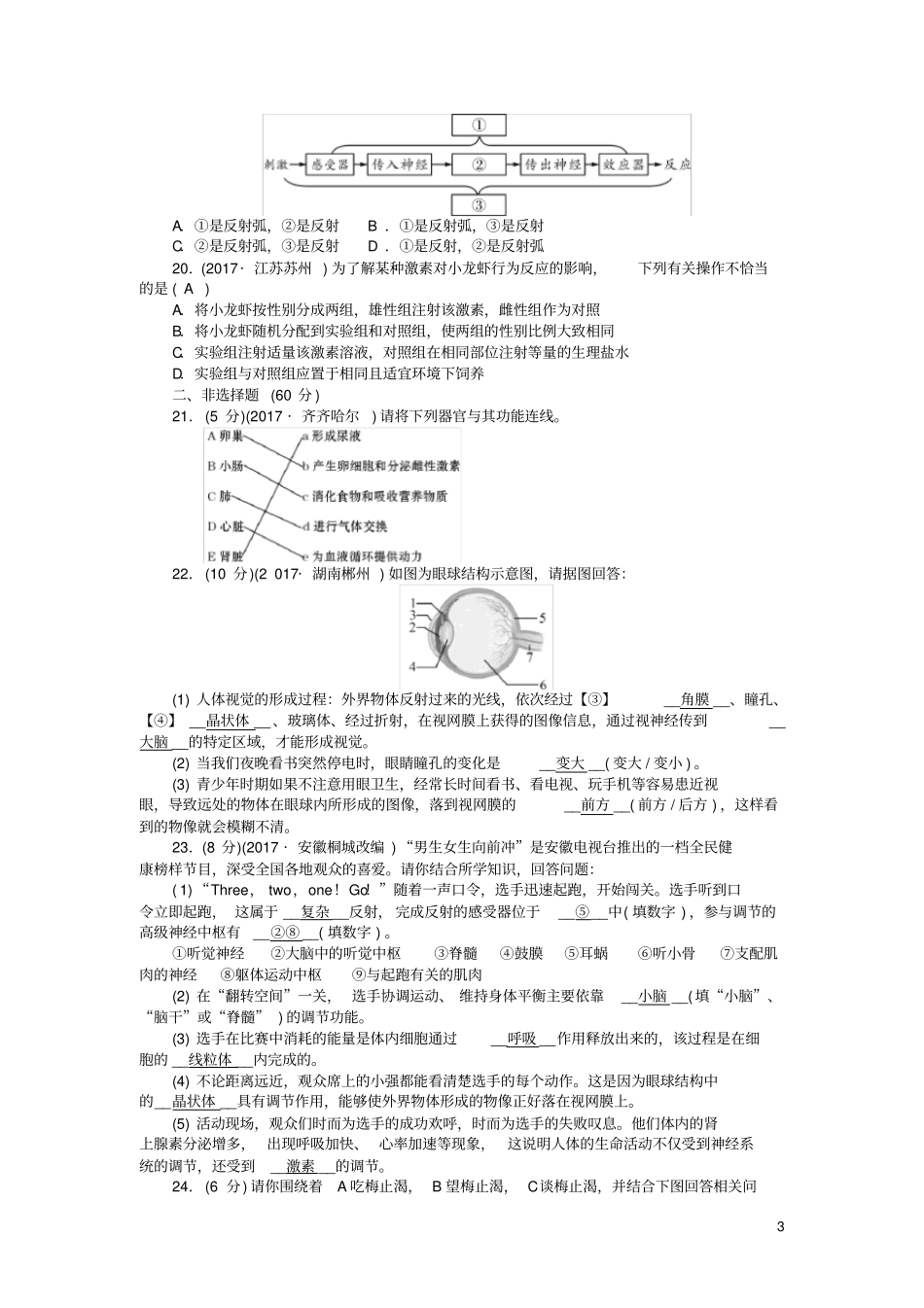 七年级生物下册第五六章测试题新人教版_第3页