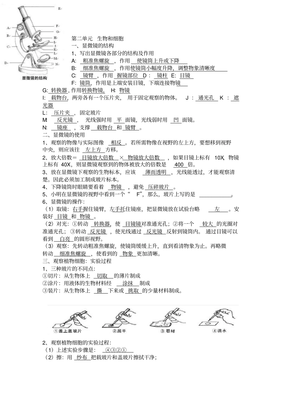 七年级生物复习提纲讲解_第2页