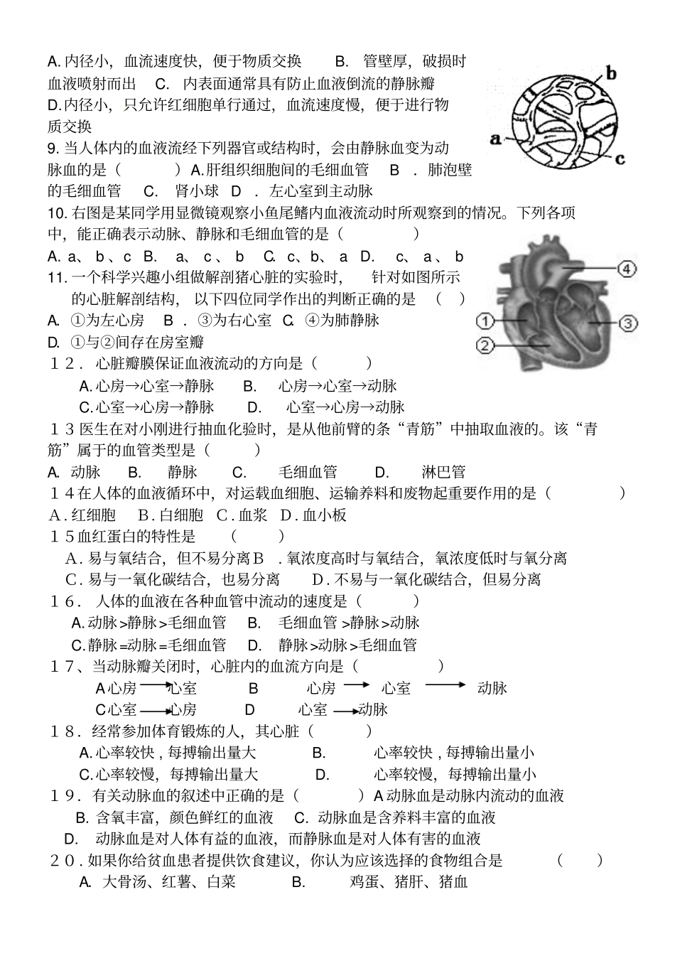七年级生物血液循环试题_第2页