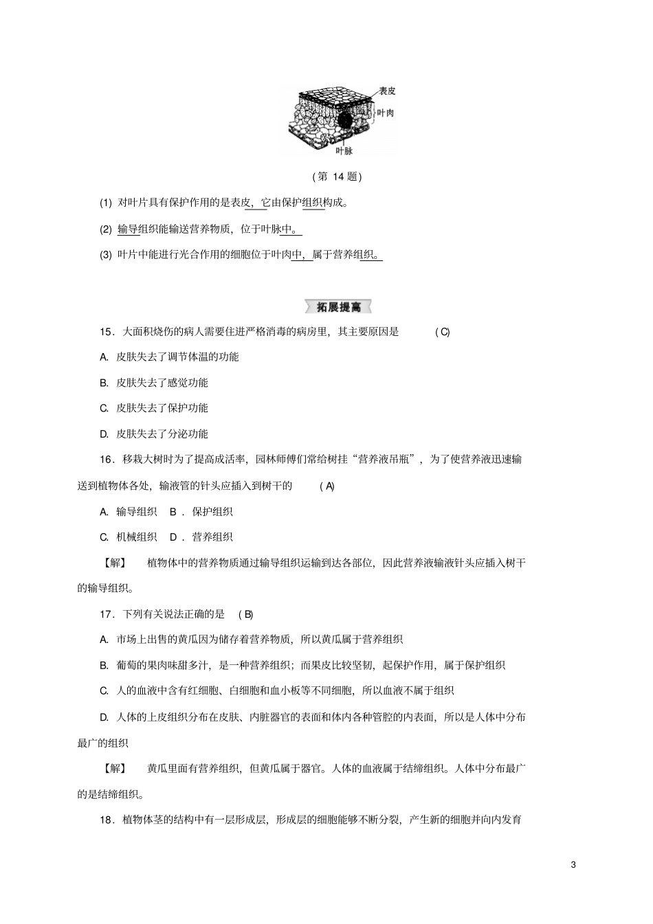 七年级科学上册3生物体的结构层次同步练习新版浙教版_第3页