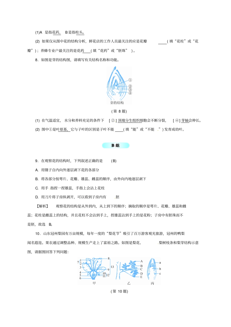 七年级科学下册4植物的一生同步练习新版浙教版_第3页