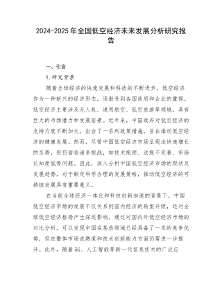 2024-2025年全国低空经济未来发展分析研究报告