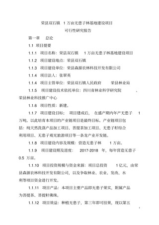 万亩无患子产业基地可行性分析报告x