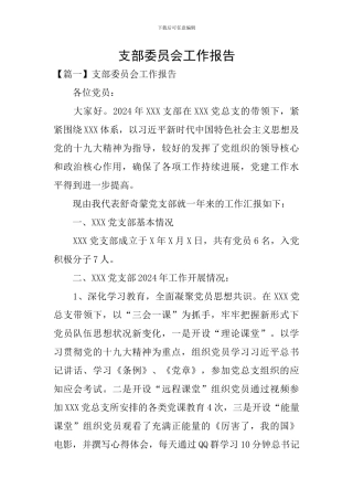 支部委员会工作报告
