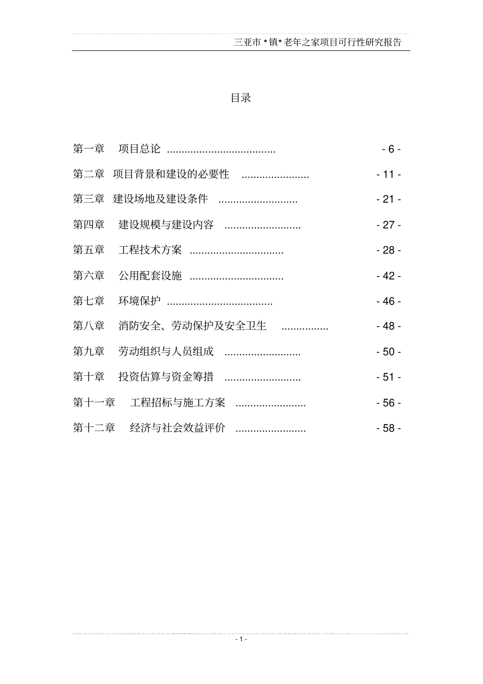 三亚镇老年之家项目可行性研究报告_第1页