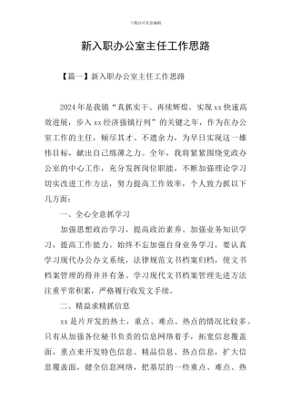 新入职办公室主任工作思路