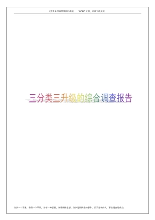 三分类三升级的综合调查报告10p