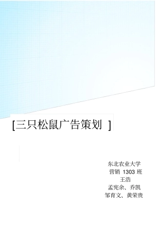 三只松鼠圣诞节广告策划方案