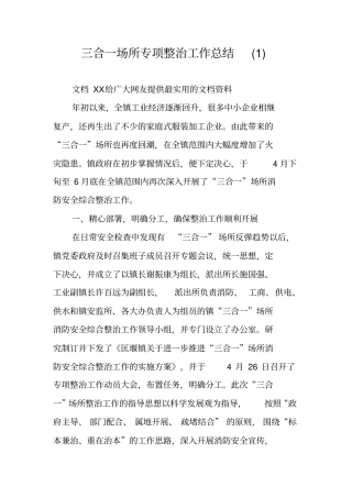 三合一场所专项整治工作总结