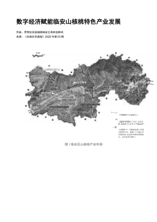数字经济赋能临安山核桃特色产业发展
