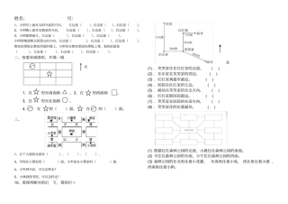 三年级下册位置与方向练习题