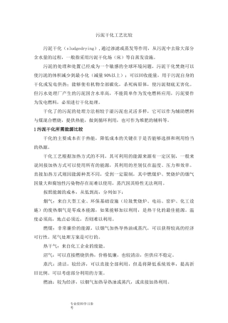 污泥干化工艺设计比较