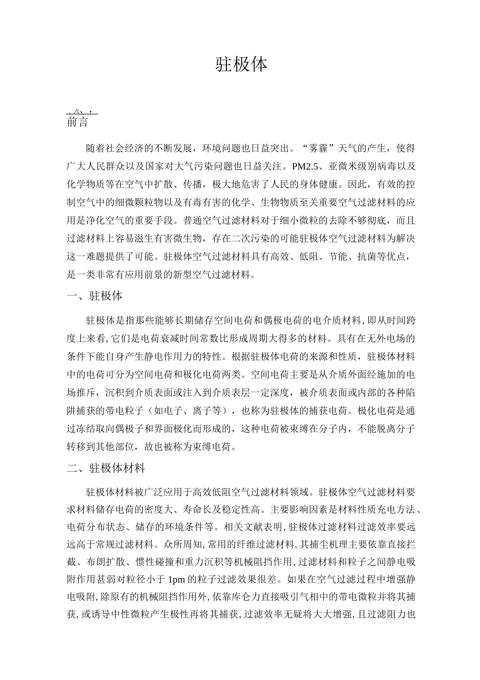 驻极体2.2_第1页