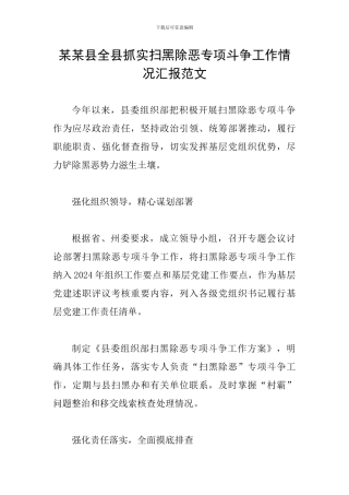 某某县全县抓实扫黑除恶专项斗争工作情况汇报范文