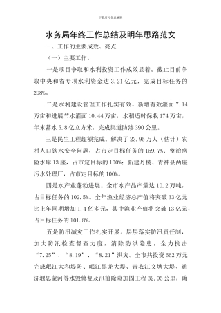 水务局年终工作总结及明年思路范文