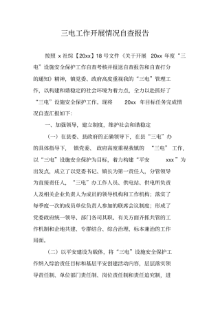 三电工作开展情况自查报告