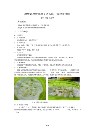 三种酸处理牧草种子幼苗风干重对比试验