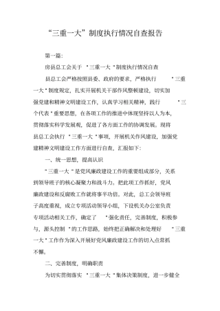 三重一大制度执行情况自查报告