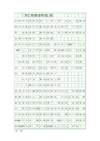 三项工程建设情况汇报精品工作报告