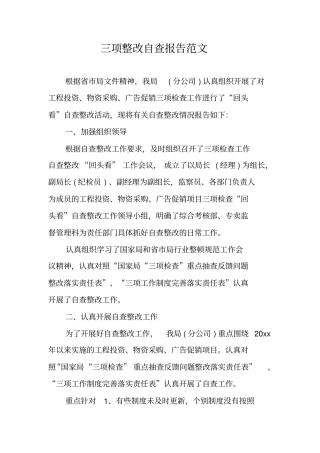 三项整改自查报告范文