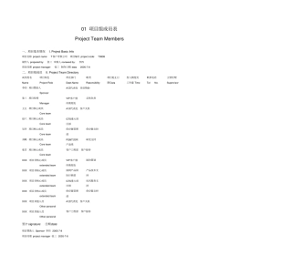 上公司工程项目管理模板全