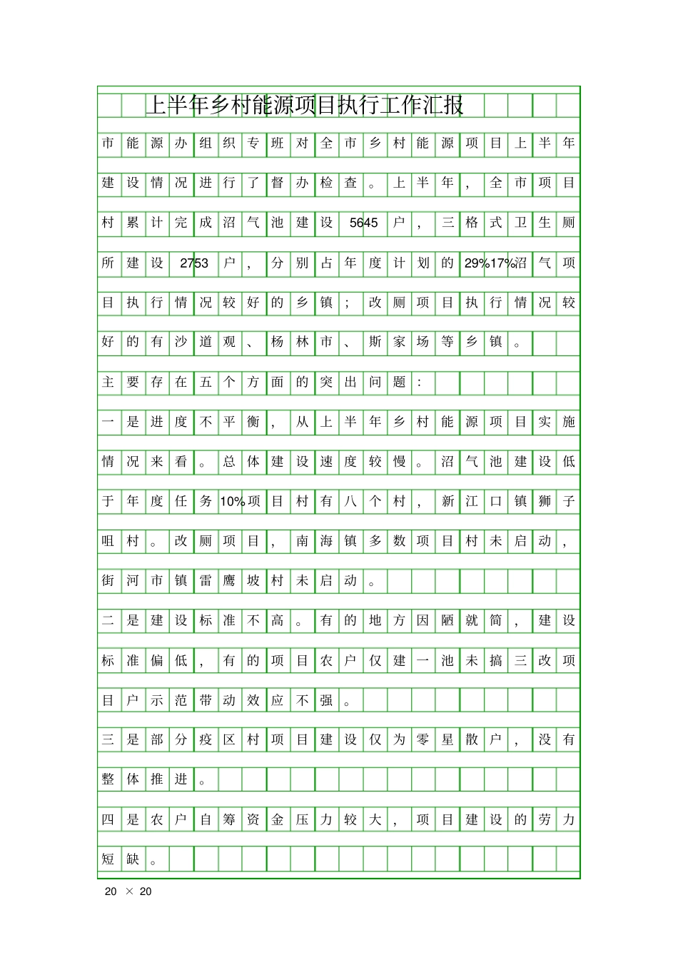 上半年乡村能源项目执行工作汇报精品工作报告_第1页