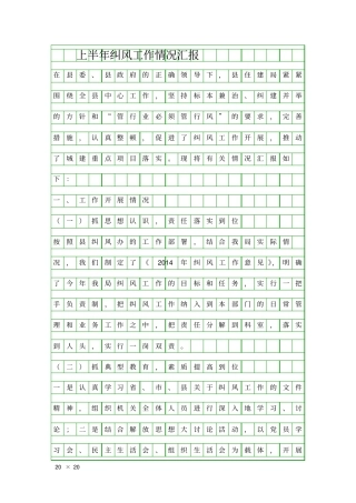 上半年纠风工作情况汇报精品工作报告