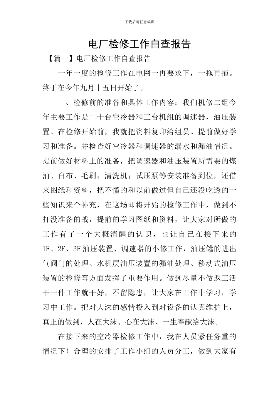 电厂检修工作自查报告_第1页