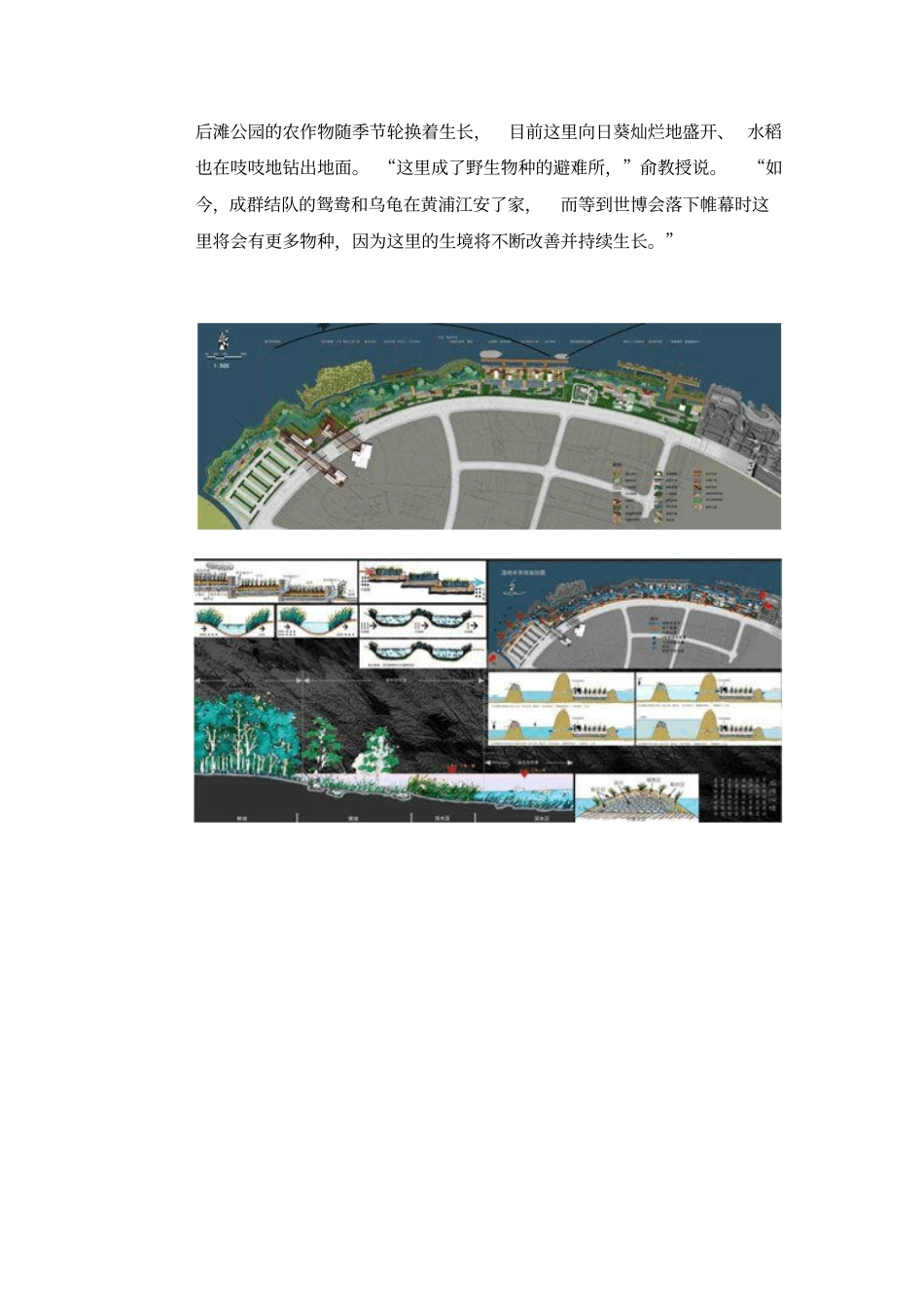 上海世博后滩湿地公园分析_第2页