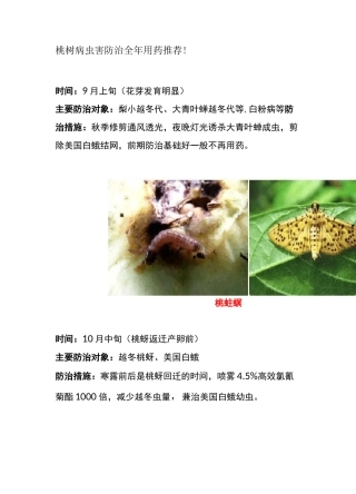 桃树病虫害防治全年用药推荐